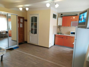 1-bdrm Appartment Отакара Яроша 15